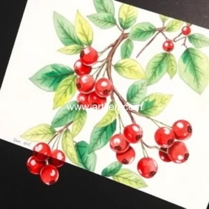 Artistic representation for Red Berries Watercolor Painting In Chicago Holiday Art Show