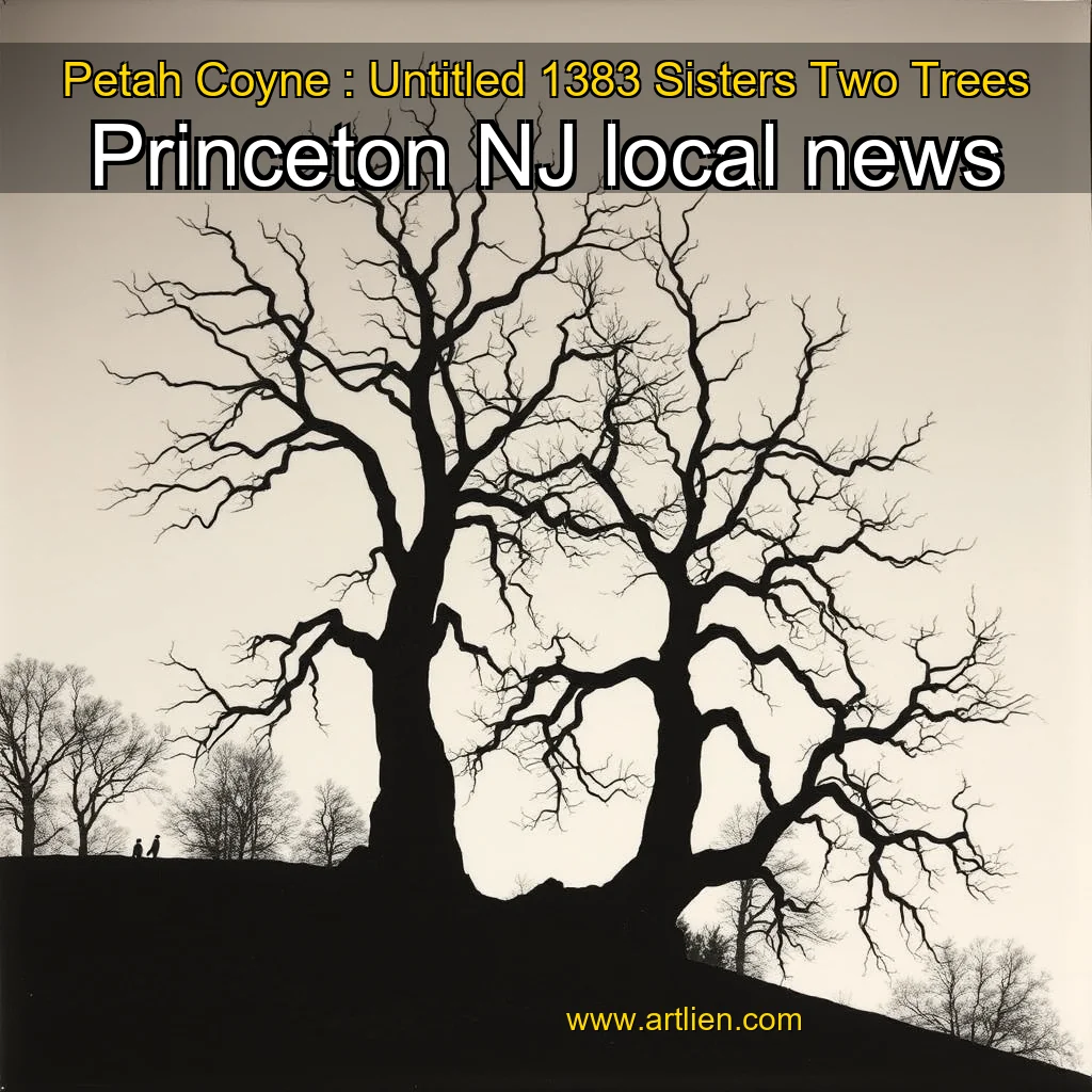 Artistic representation for Petah Coyne : Untitled 1383 Sisters Two Trees Princeton NJ local news