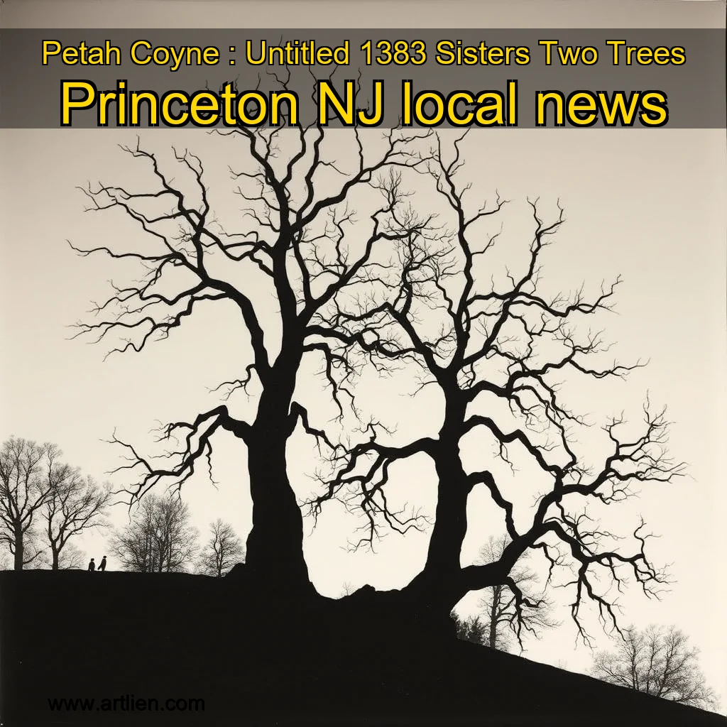 Artistic representation for Petah Coyne : Untitled 1383 Sisters Two Trees Princeton NJ local news