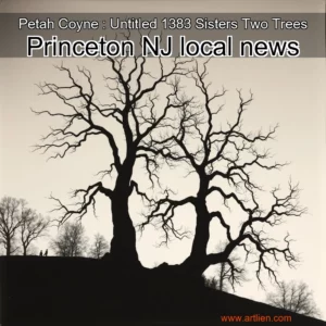 Artistic representation for Petah Coyne : Untitled 1383 Sisters Two Trees Princeton NJ local news