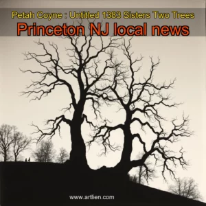 Artistic representation for Petah Coyne : Untitled 1383 Sisters Two Trees Princeton NJ local news