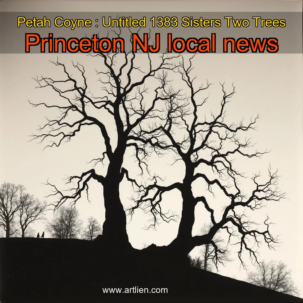 Artistic representation for Petah Coyne : Untitled 1383 Sisters Two Trees Princeton NJ local news